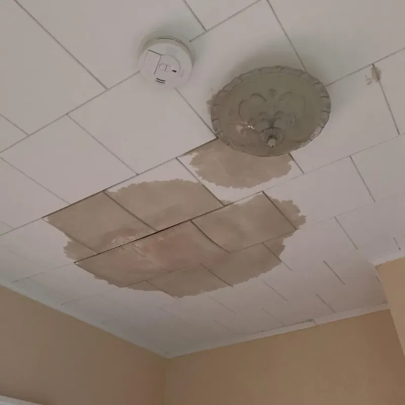 Ceiling Water Damage Repair in Le Sueur, MN