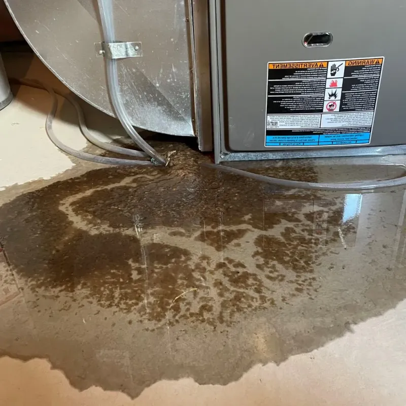 Pipe Burst and Leak Restoration in Le Sueur, MN