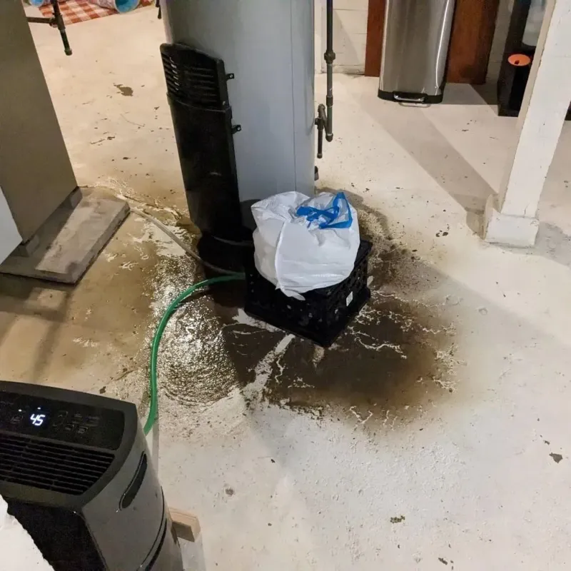 Sewage Backup Cleanup Service in Le Sueur, MN